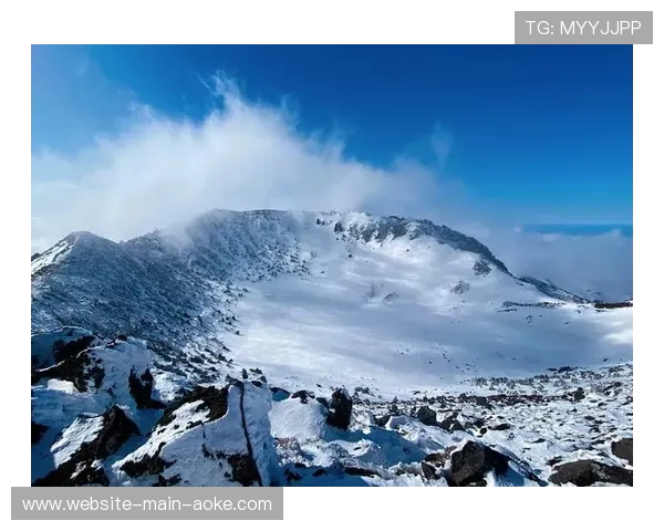 莱比锡科塔韦格球场成多队训练避难所,积雪危机促合作 莱比锡科塔韦格球场成多队训练避难所,积雪危机促合作